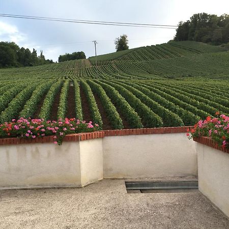 فيلا La Loge Du Vigneron Vauciennes  المظهر الخارجي الصورة