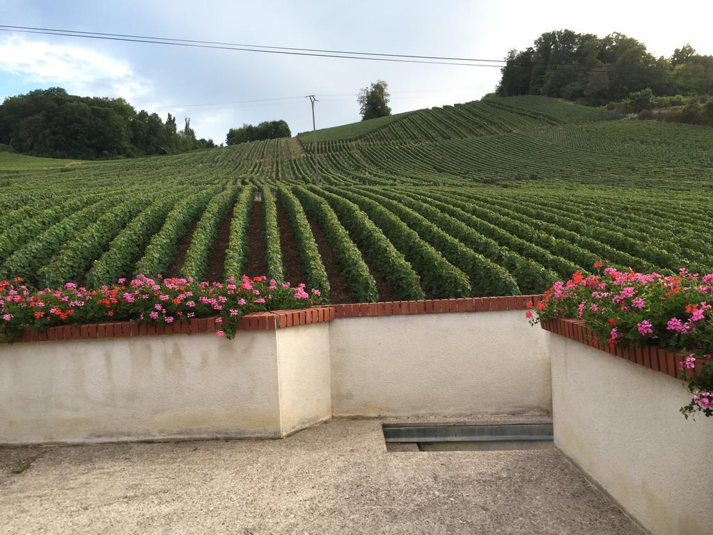 فيلا La Loge Du Vigneron Vauciennes  المظهر الخارجي الصورة