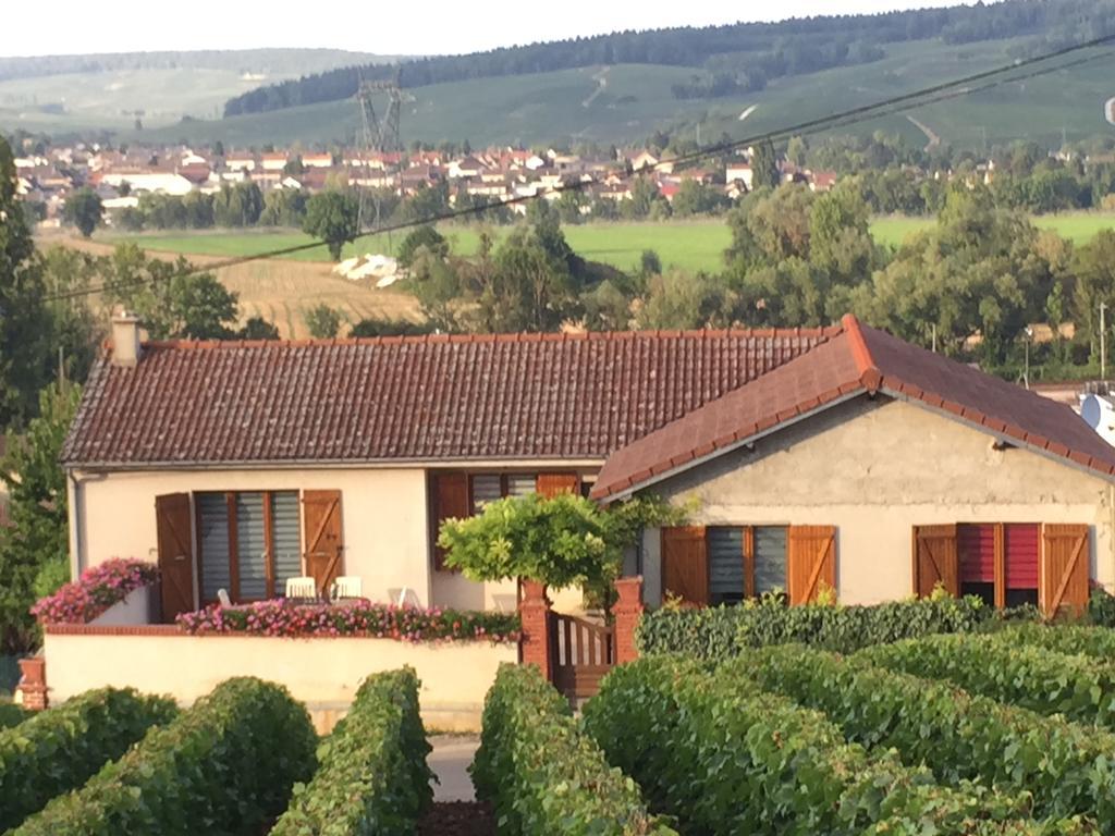 فيلا La Loge Du Vigneron Vauciennes  المظهر الخارجي الصورة